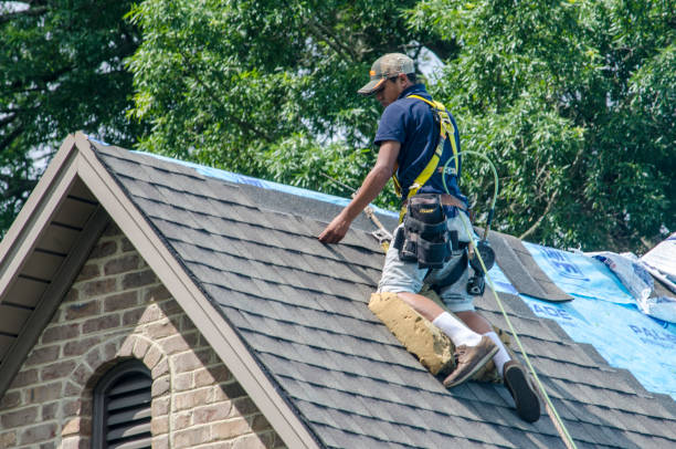 Best Roof Restoration Services  in Roessleville, NY